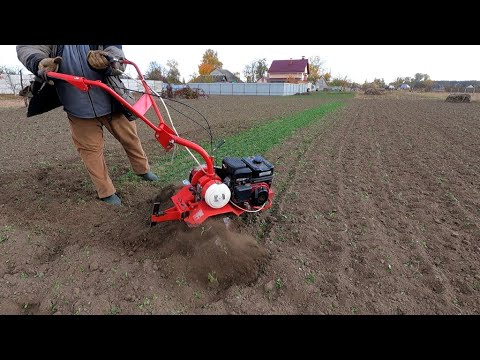 Видео: Мотоблок Салют 5 BC-1. Осенняя культивация.