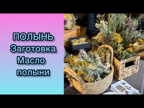 Видео: О пользе полыни. Делаю заготовку полыни и  масло полыни.