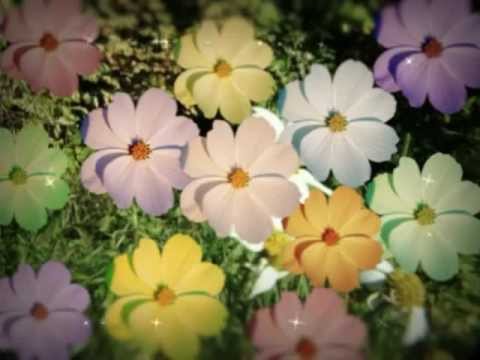 Видео: Премьера клипа - «Четыре милых феечки»