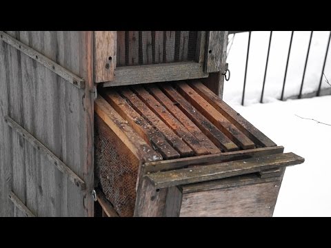 Видео: Старый кассетный улей-стояк. Кассетные павильоны.