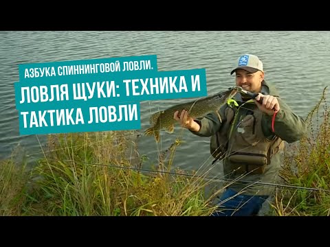 Видео: Ловля щуки: техника и тактика ловли \ Азбука спиннинговой ловли. Сезон 1