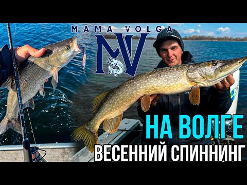Видео: Спиннинг на ВЕСЕННЕЙ Волге! Места, приманки и проводки для хищника на БОЛЬШОЙ РЕКЕ | USAL 2025