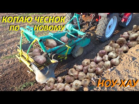 Видео: Копаю ЧЕСНОК СУПЕР копалкой !!!