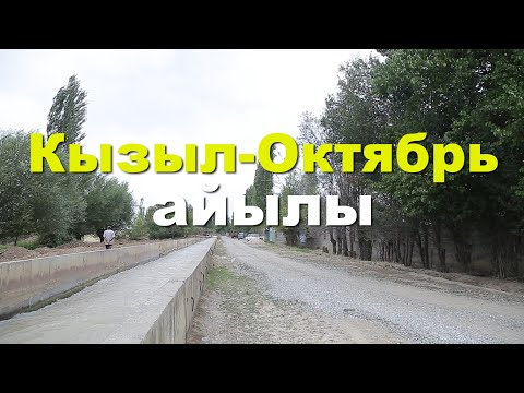 Видео: Депутат Айбек Алтынбековдун Кызыл-Октябрга көрсөткөн жардамы