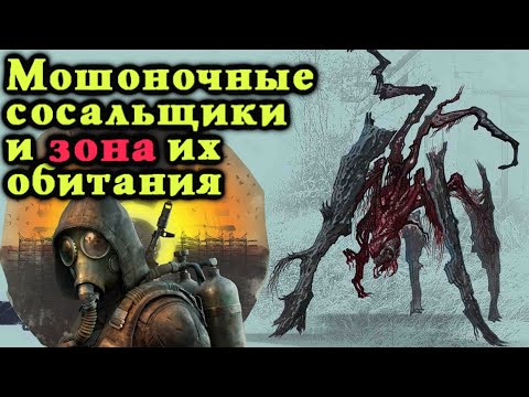 Видео: STALKER 2 не вне политике и безумие в интернете