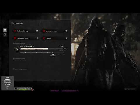 Видео: Знакомимся с пауками!