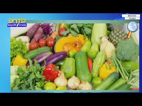 Видео: 11-класс | Биология | Биоценоз и его структура.  Агроценоз