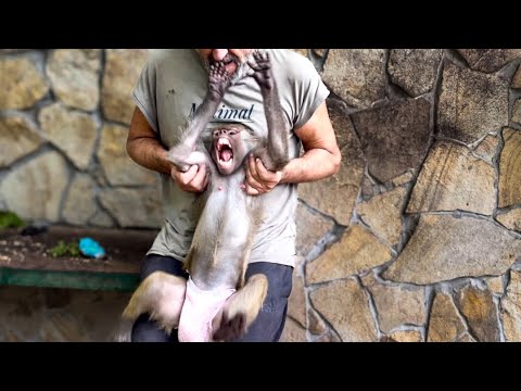 Видео: СМЕШНО ДО СЛЕЗ! Мы пытаемся проверить РЕЗУЛЬТАТЫ ТЕСТА НА БЕРЕМЕННОСТЬ, но Люсю просто так не взять!