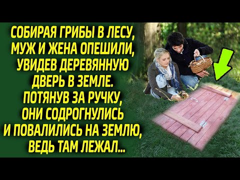 Видео: Открыв тайник в лесу, грибники ужаснулись, ведь там оказался...