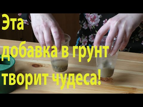 Видео: Грунт для рассады: лучшая добавка