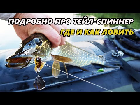 Видео: Подробно про тейл-спиннер. Где, как и кого на него ловить