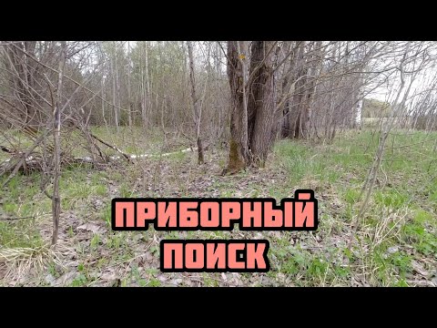 Видео: Приборный поиск. Коп с металлоискателем TX 850