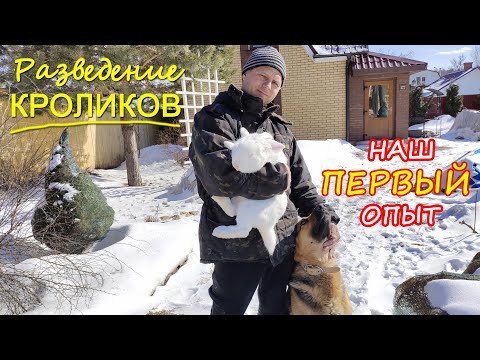 Видео: Разведение КРОЛИКОВ. Наш первый опыт. Наши ошибки и первый результат! Rabbit breeding.