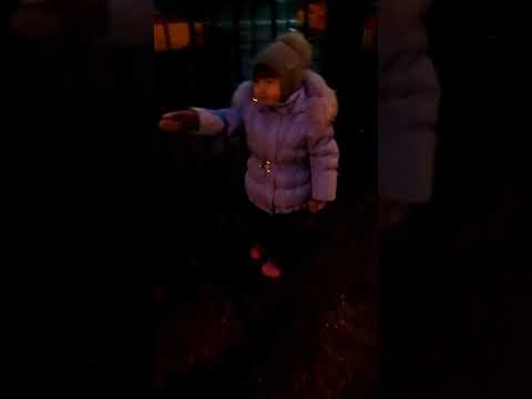 Видео: 12 ноября 2025 г.