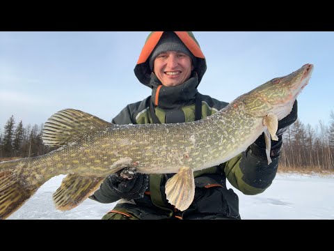 Видео: КОВАРНЫЙ ПЕРВЫЙ ЛЕД!!! Я ПРОВАЛИЛСЯ!!! Первый лёд 2024 2025. Зимняя рыбалка.