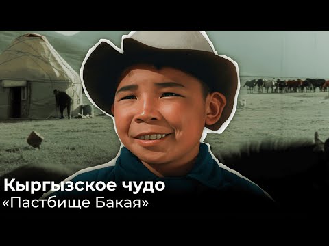 Видео: Пастбище Бакая. Кыргызские традиции мешают прогрессу? Кыргызское чудо в кино
