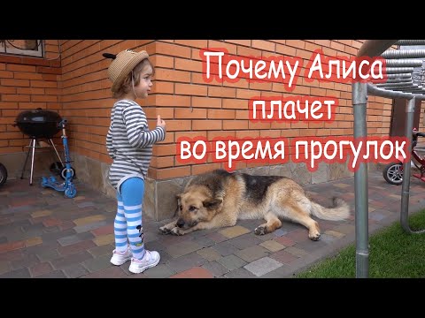 Видео: VLOG МОЖНО или НЕЛЬЗЯ вот в чем вопрос