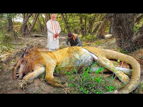 Видео: Неизвестные Существа, Которых Удалось Заснять Лишь Один Раз