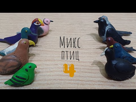 Видео: МИКС ПТИЦ 4! Лепим разных диких птиц.