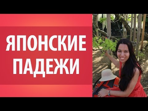 Видео: Японские падежи. Грамматика японского языка. Уроки японского языка Дарьи Мойнич.