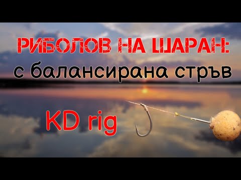 Видео: Риболов на шаран: Балансирана стръв (KD rig)