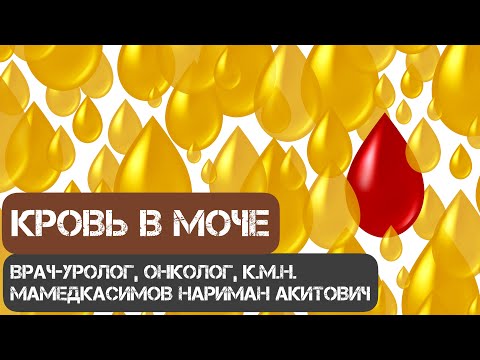 Видео: Кровь в моче! Что делать? Врач-уролог, онколог, к.м.н. Мамедкасимов Нариман Акитович