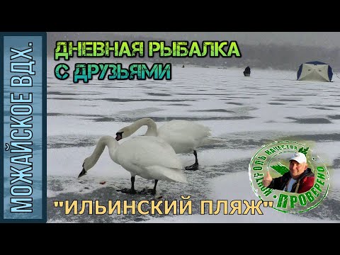 Видео: Рыбалка на Можайском вдх. / Белые ЛЕБЕДИ НА ЛЬДУ! / Ильинское.