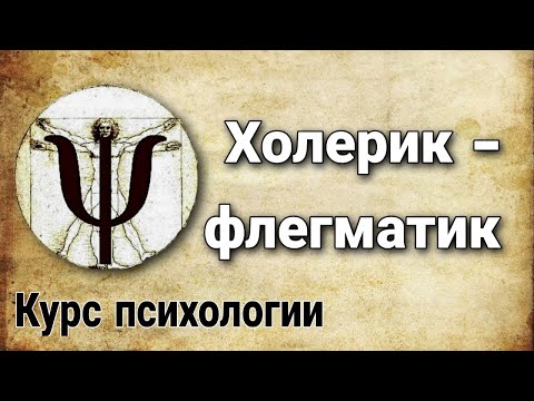 Видео: 4.4 Ось: темперамент холерика – темперамент флегматика (отклонения в развитии | курс психологии)