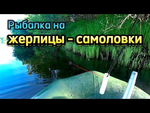 Видео: Карьер вновь меня радует! Жерлицы-САМОЛОВКИ рулят!