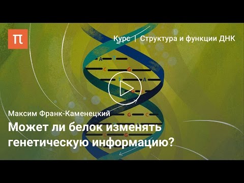 Видео: Центральная догма молекулярной биологии — Максим Франк-Каменецкий