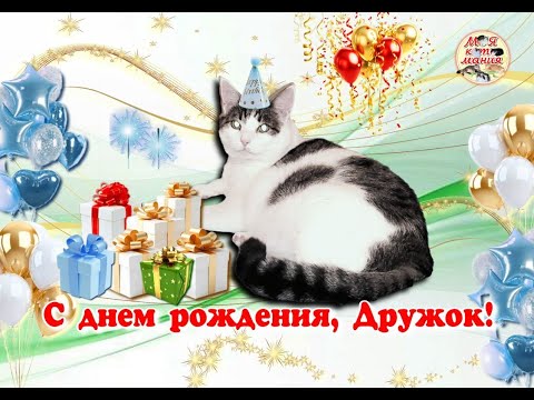 Видео: С днем рождения, Дружок! Happy Birthday, Buddy!