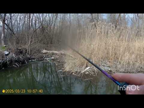 Видео: Обкатка мармо комлекта ,Азура Оливия нано.