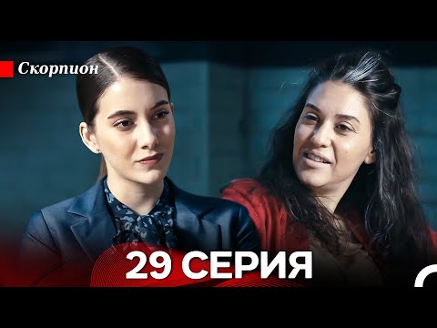 Видео: Скорпион  29 Серия (Русский дубляж)