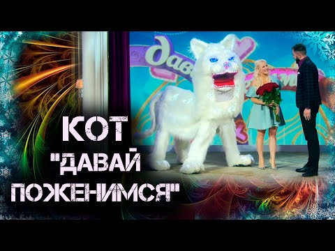 Видео: Давай поженимся Котик 2021