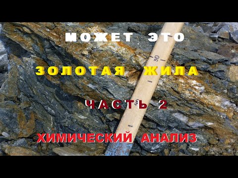 Видео: Может это Золотая жила? Часть 2. Хим.Анализ.