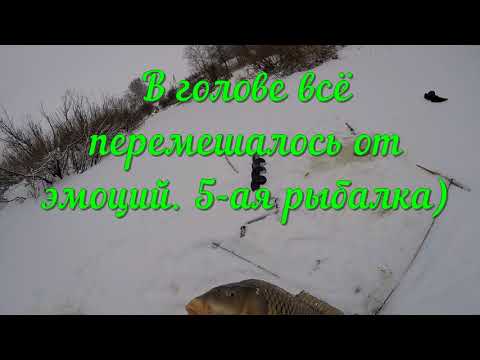 Видео: ЭТА РЫБАЛКА ЗАПОМНИТСЯ НА ВЕКА!!! Рыбалка на хапуги!!! От Улова истерика!!!