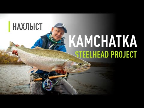 Видео: Ловля СТАЛЬНОГОЛОВОГО ЛОСОСЯ на КАМЧАТКЕ. Исследовательская экспедиция совместно с МГУ.