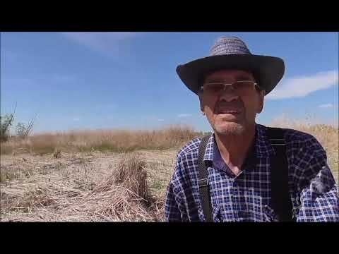 Видео: канал Саша Торопов   Едем в Ивановский залив, Ульяновская область.