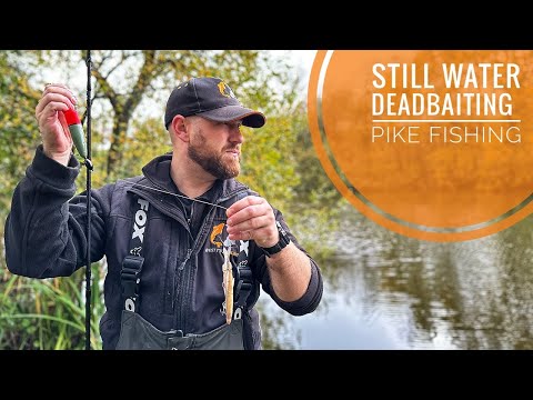 Видео: Ловля щуки на живца в тихой воде | Оснастки и монтаж