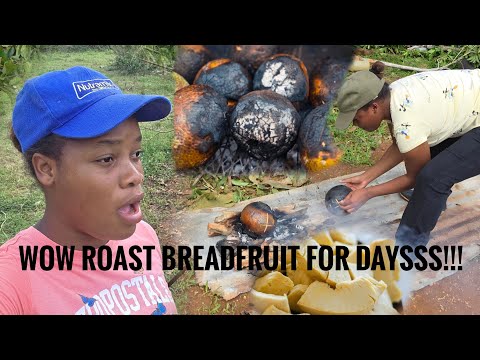 Видео: Жарим хлебное дерево, потому что это сделал ураган!!! 💔🙆🏼‍♀️🌀‼️‼️🙏