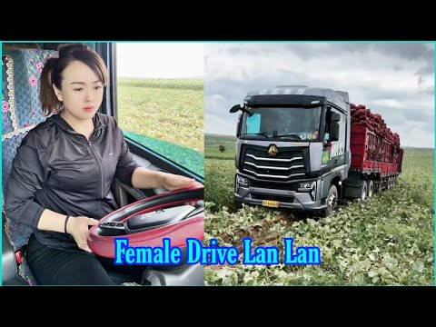 Видео: Путешествие на тыквенном транспорте из Внутренней Монголии. Женщина-водитель прицепа Лан Лан