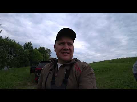 Видео: Рыбалка  на р.Осетр 12.06.2025