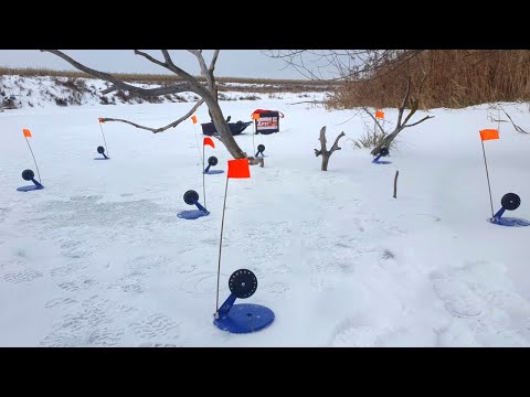 Видео: Рыбалка на жерлицы.  Щука продолжает радовать