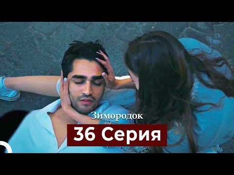 Видео: Зимородок 36 Cерия | ФИНАЛ СЕЗОНА (Русский дубляж)