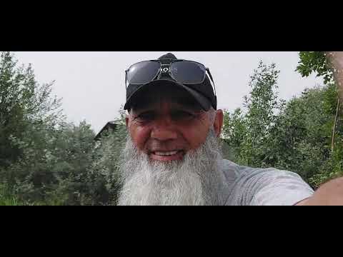 Видео: Моҳии Африкои.