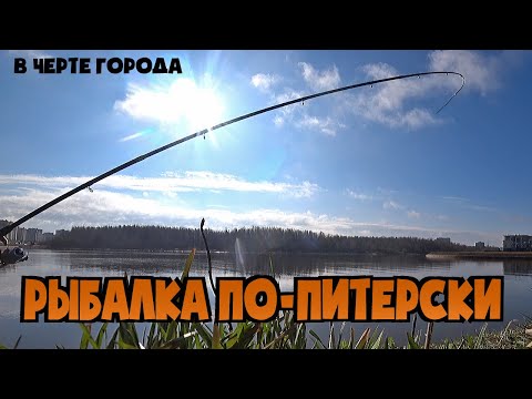 Видео: РЫБАЛКА НА ДУДЕРГОФСКОМ КАНАЛЕ. ОТКРЫТИЕ СЕЗОНА. ГУСТЕРА КЛЮЁТ БЕЗ ПЕРЕРЫВА, ДАЖЕ НАДОЕЛО ПОДСЕКАТЬ