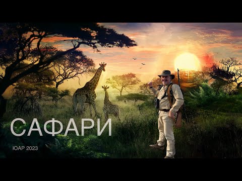 Видео: САФАРИ ЮАР 2023