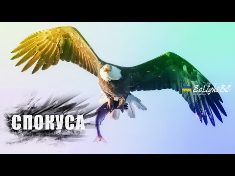 Видео: Спокуса у сучасному світі: як знайти силу в Бозі?