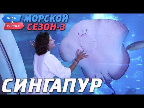 Видео: Сингапур. Орёл и Решка. Морской сезон/По морям-3 (Russian, English subtitles)