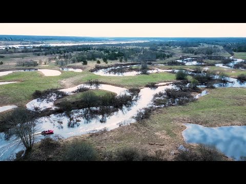 Видео: Водномоторный поход по рекам Кудеб и Щепец